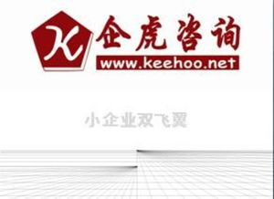 小企業(yè)管理咨詢實務 市場部與人力資源部的定價、供應商與視覺信息咨詢服務構建指南